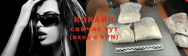 шишки Костерёво
