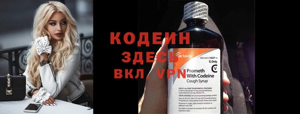 трава Коряжма