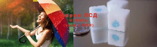 трава Коряжма