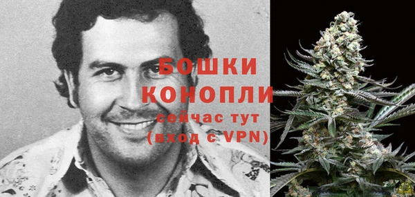 трава Коряжма