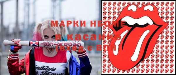 трава Коряжма