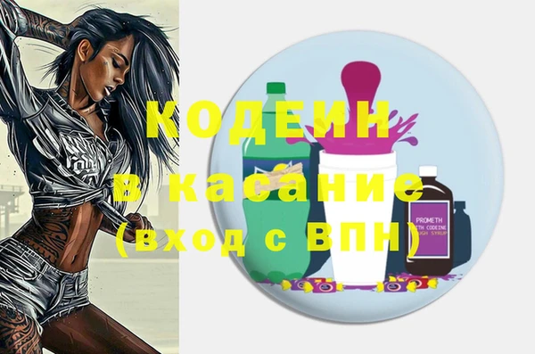 шишки Костерёво