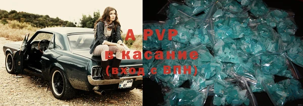 шишки Костерёво