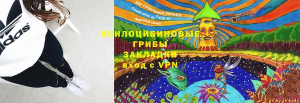 apvp Корсаков