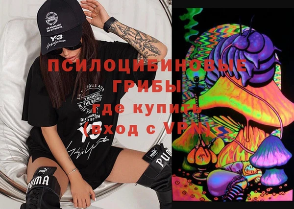 apvp Корсаков