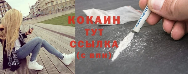 трава Коряжма