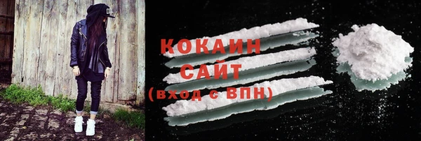 шишки Костерёво