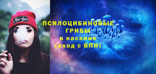трава Коряжма