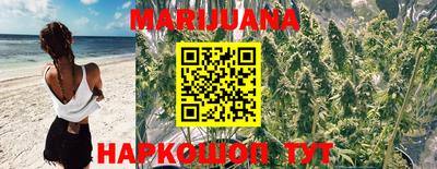 крисы Донецк