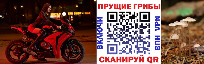 Псилоцибиновые грибы MAGIC MUSHROOMS Раменское
