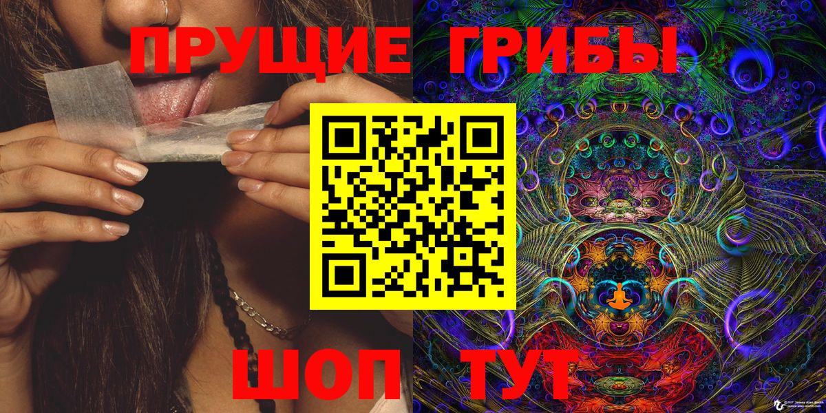 Раменское  сколько стоит  Псилоцибиновые грибы GOLDEN TEACHER  Вход с VPN  Галлюциногенные грибы Cubensis 