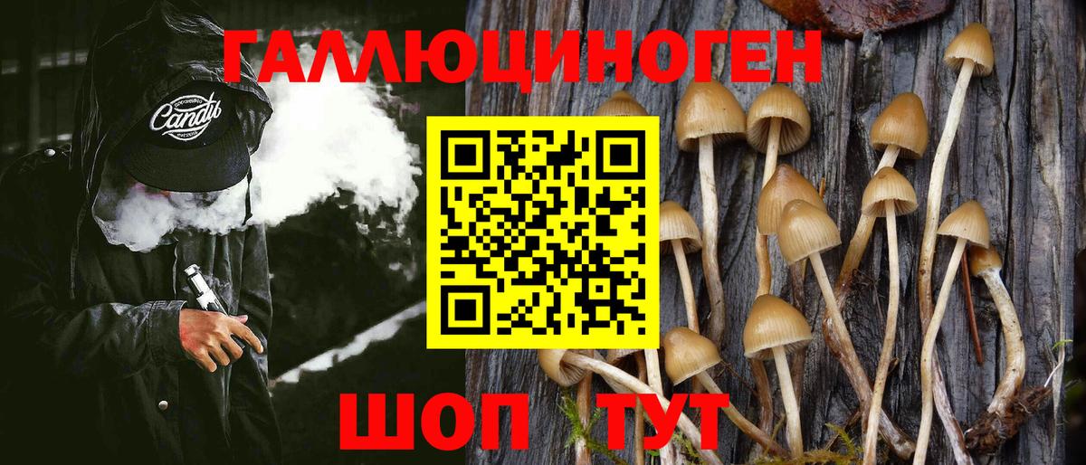 Псилоцибиновые грибы Magic Shrooms Раменское